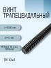Винт трапецеидальный TR 10Х2
